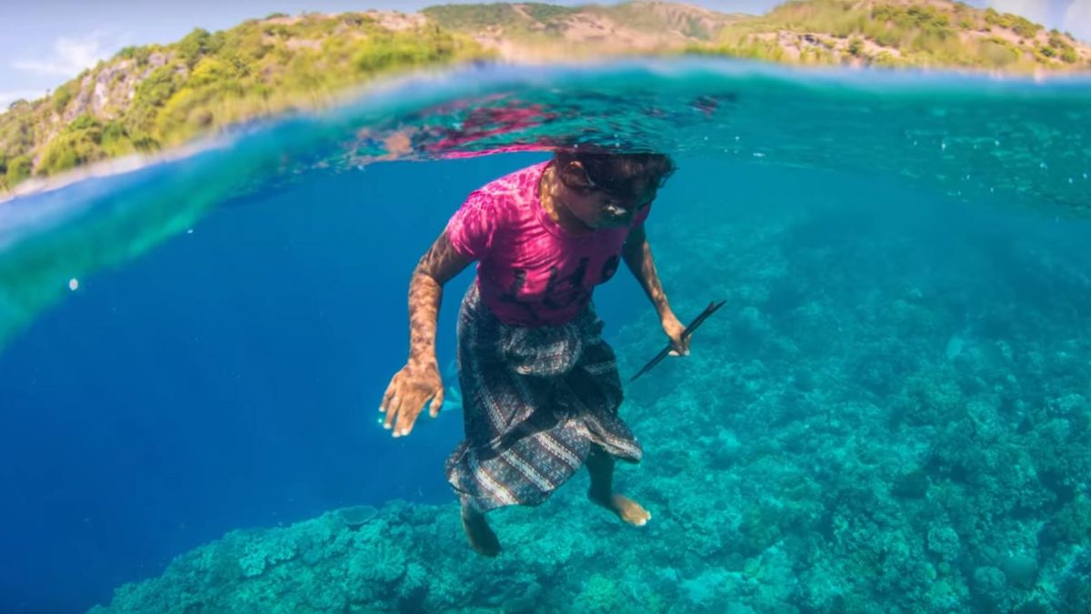 Real Mermaids Found in Timor-Leste